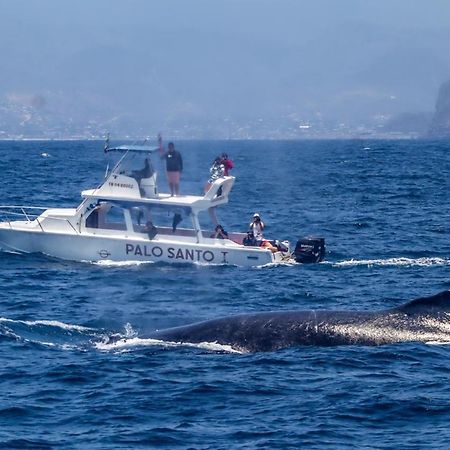 Whale House Hotel Puerto López Buitenkant foto